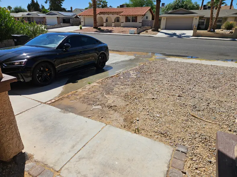 Desert landscaped front yards on a residential street in the Las Vegas valley